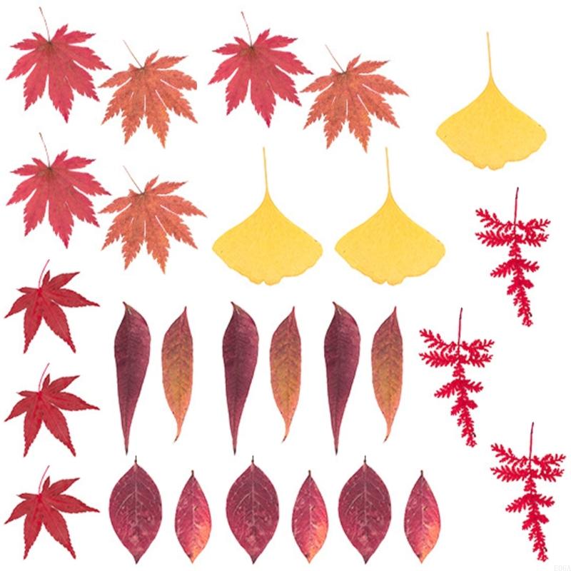 Natural Pressed Dried Flower F - Resin Craft Ideas review and price